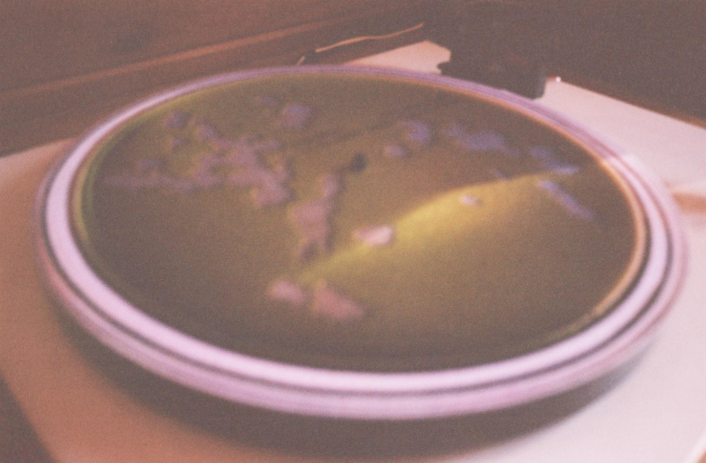 Petri Dish