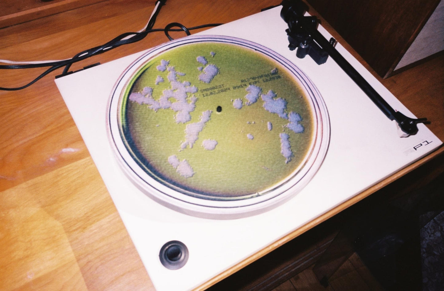 Petri Dish