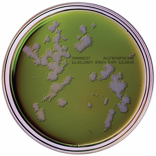 Petri Dish