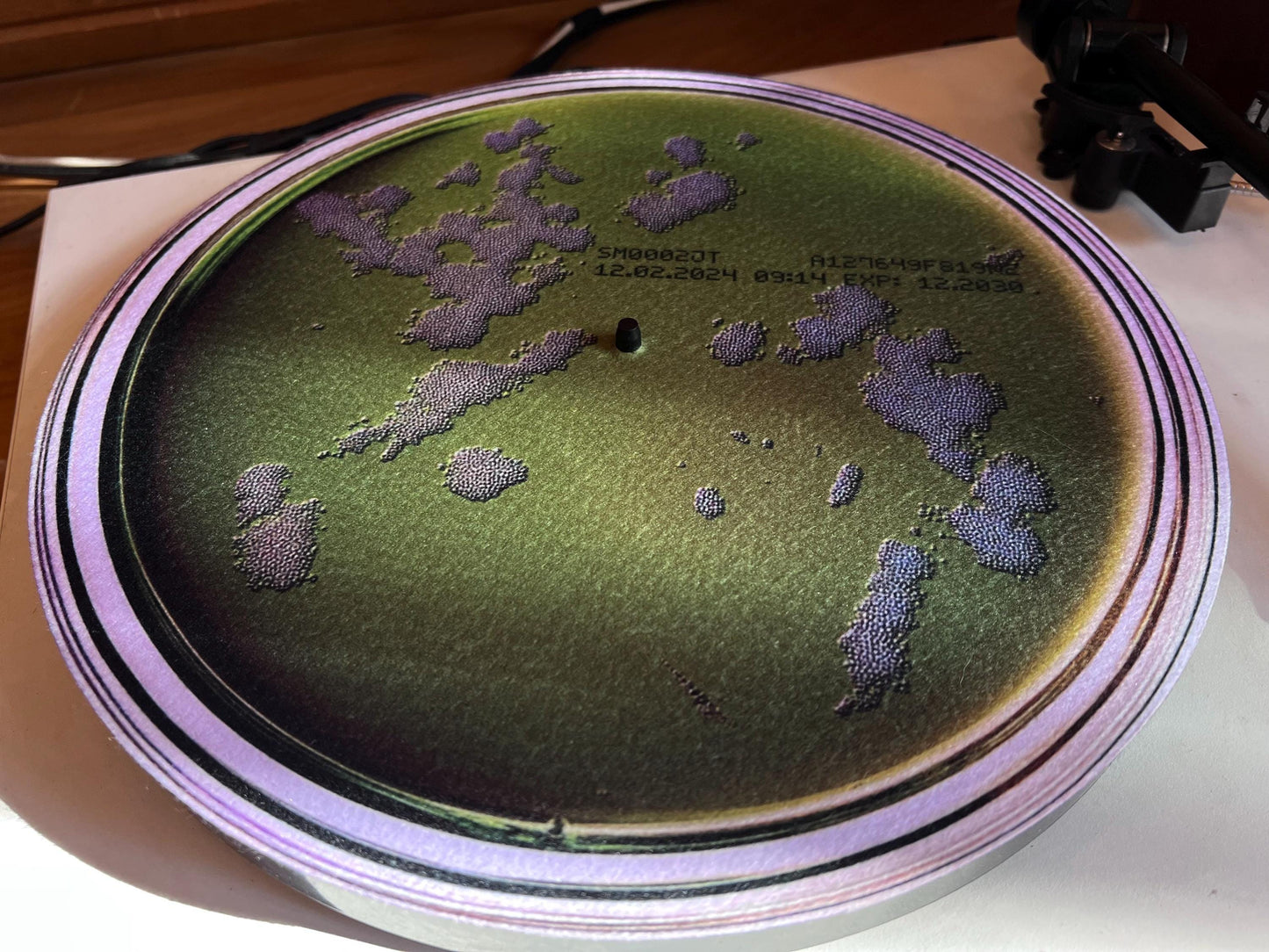 Petri Dish