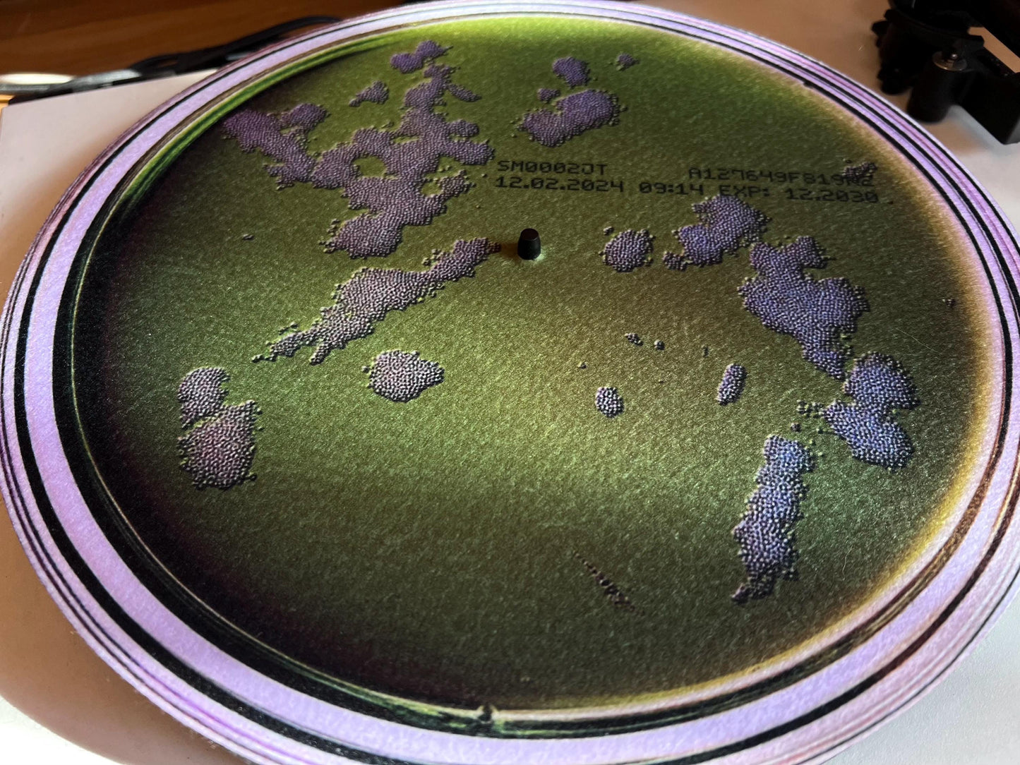 Petri Dish