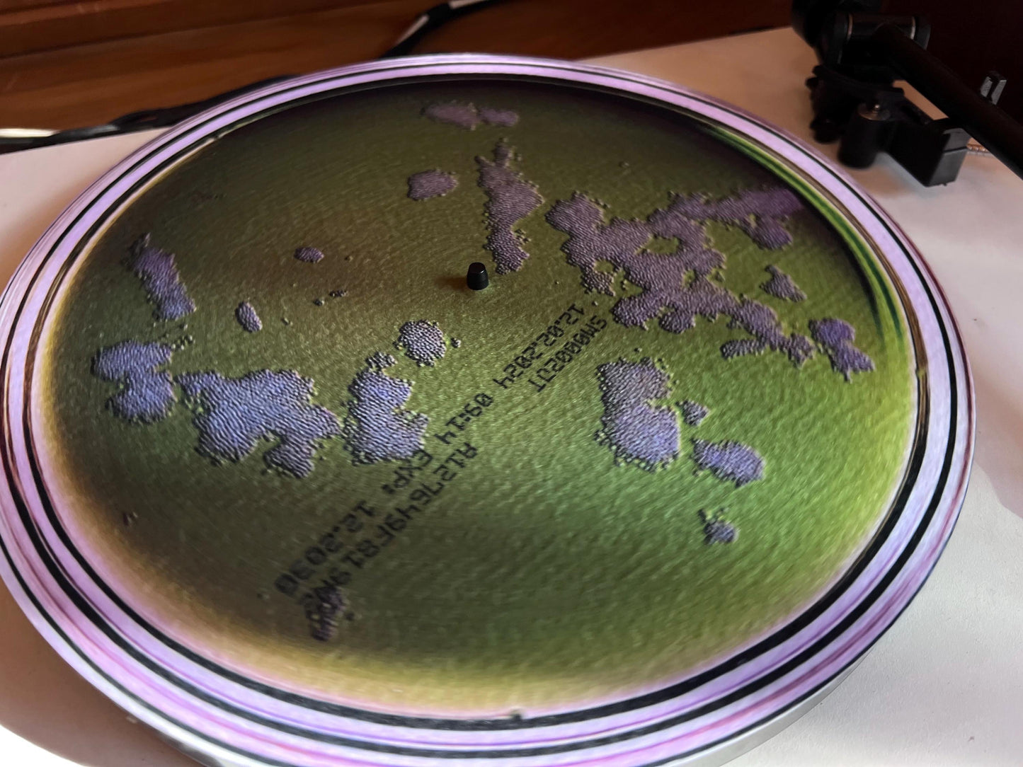 Petri Dish