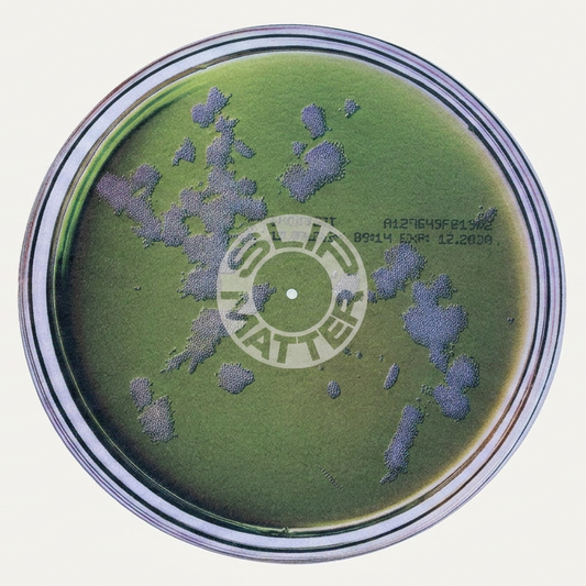 Petri Dish