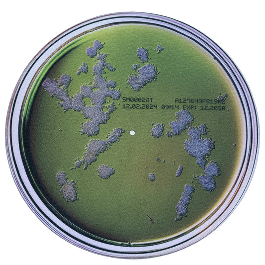 Petri Dish