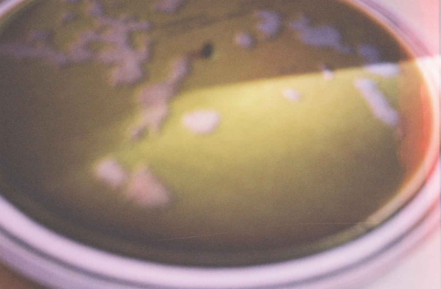 Petri Dish